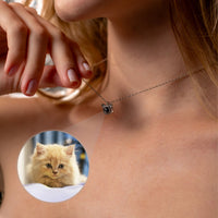 Thumbnail for Collier Photo Chat